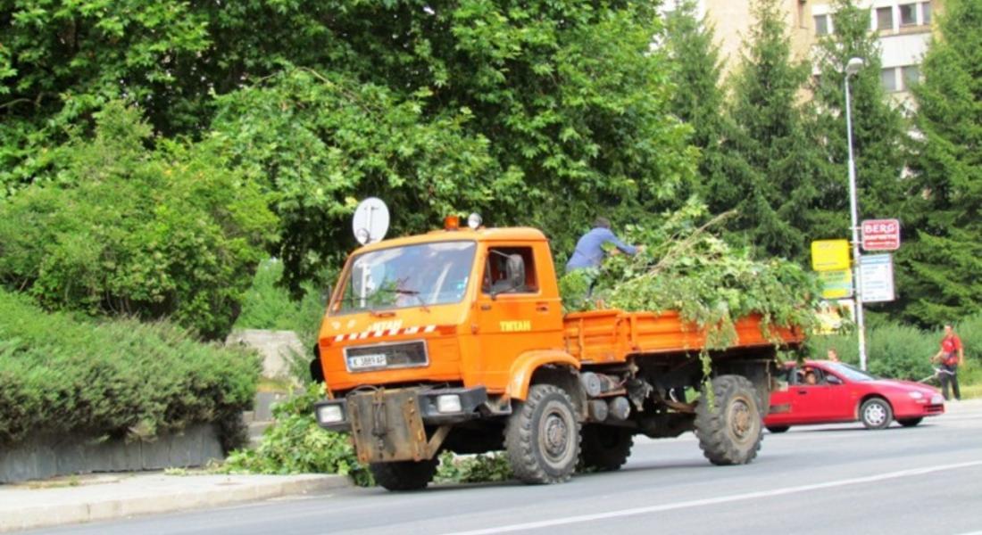 Прочистват Смолян от опасни дървета и клони