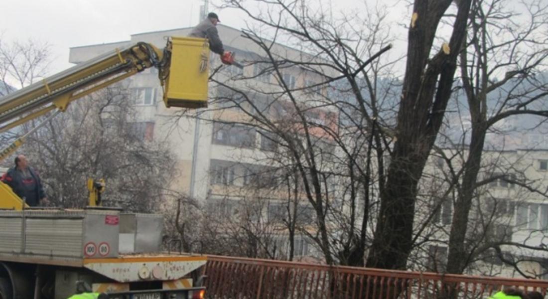 Община Смолян започна акция по премахването на опасните клони