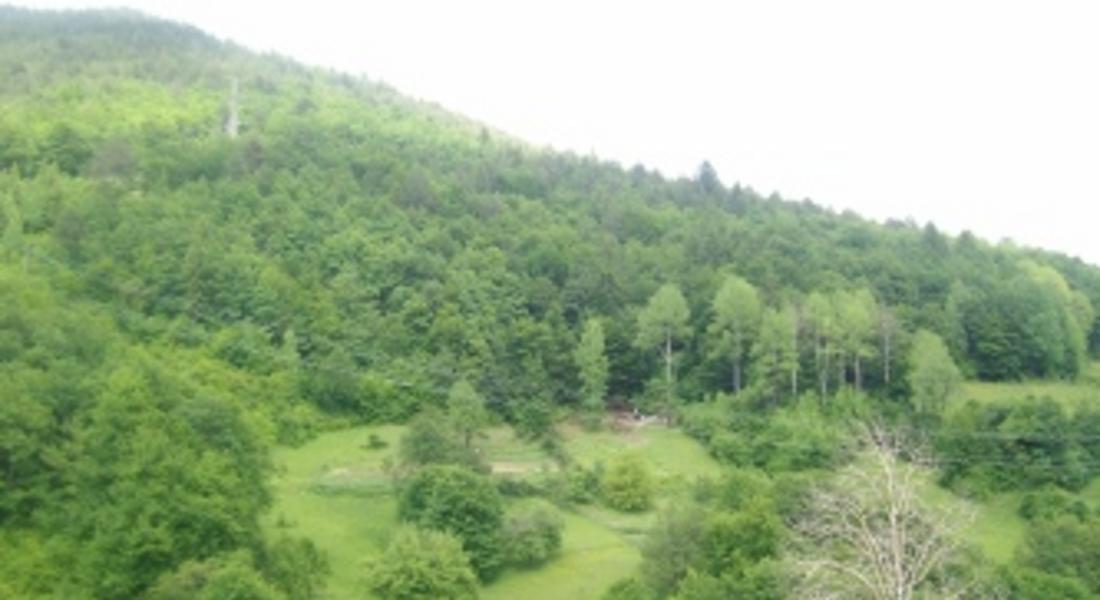 Възстановяват резерват „Амзово“ Смолян