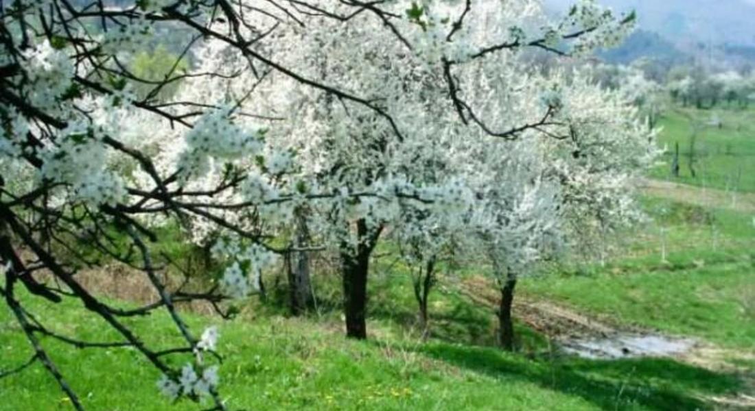 Утре облачността ще е значителна, след обяд на много места с валежи и гръмотевици