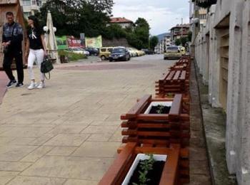 Второ зареждане на общинската оранжерия с 16 500 цветя