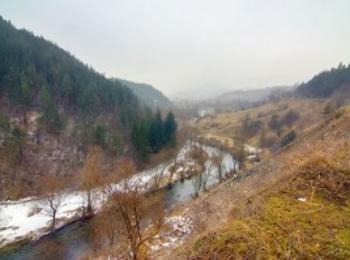 Откриха мъртва риба край Бачково! Не знаят кой е замърсил река Чепеларска