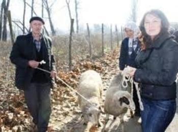 Мюсюлманите у нас честват Курбан Байрам