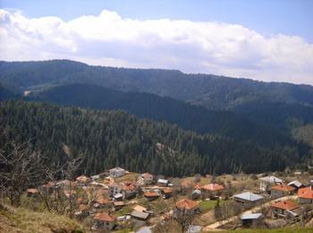  Четири паднали стълба оставиха Чавдар без ток