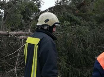 Бедственото положение в община Смолян ще бъде отменено частично, над 15 села са без електричество