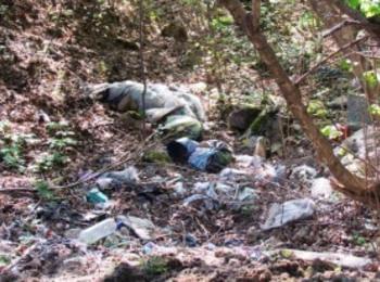 Титан в Смолян и Чепеларе се включва в кампанията “Да изчистим България за един ден”