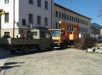 Премахват се опасните клони на дърветата по главния път от квартал Райково в посока  Устово в Смолян