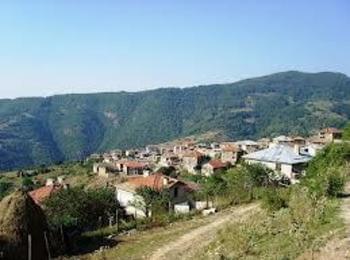 Празник на ягодата честват в девинското село Осиково