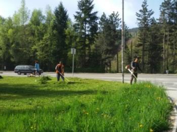 Пръскат тревните площи в Смолян против кърлежи и бълхи