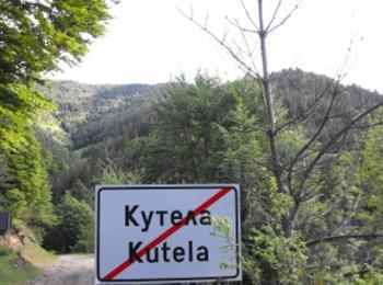 Застреляха мечката убиец край Кутела