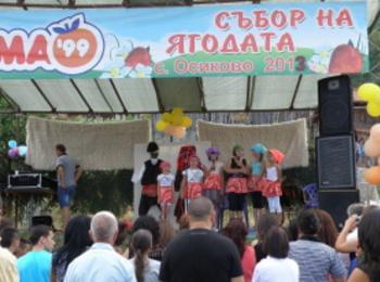 Отбелязват Фестивалът на ягодата в девинското село Осиково