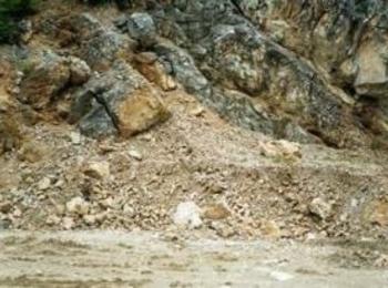 Свлачище затруднява движението по пътя Асеновград - Смолян
