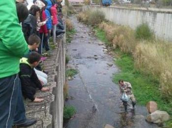  Хиляда и двеста рибки намериха дом в чепеларската река Чая 