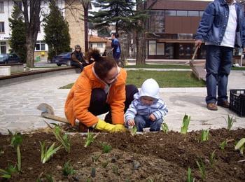 Засадиха дръвчета в Златоград