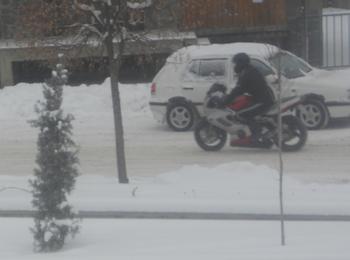 Снимка на деня! 
