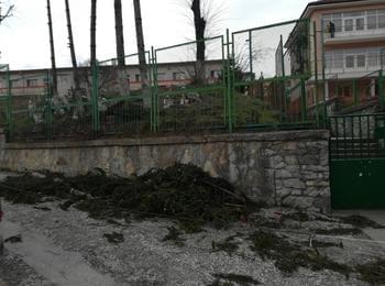 Силният вятър в Смолянско затвори ски зоната в Пампорово, повали дървета и остави без ток населени места