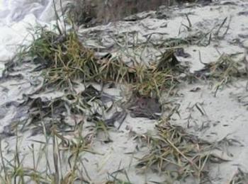 Обстановката в Смолянска община продължава да е критична