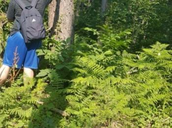 Доброволци маркират туристически пътеки в района на Горното поречие на р. Арда