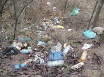 Глобиха селски кмет заради незаконно сметище