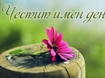 Днес имен ден празнуват Мартин и Мартина