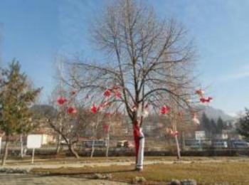 Златоград ще украси своето Дърво на Мартеницата