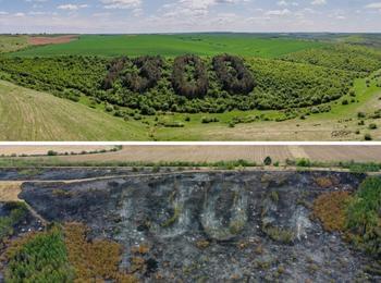 Пожар изпепели „1300 години България“. Гората.бг с обещания да я възтановят!