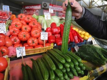Мандарини и портокали поевтиняват предпразнично