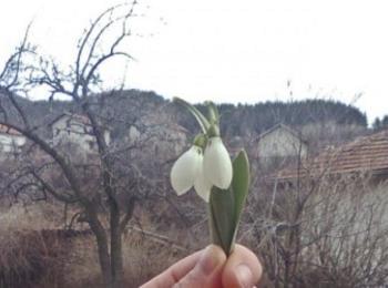 Седмицата: слънчева и топла до 12°