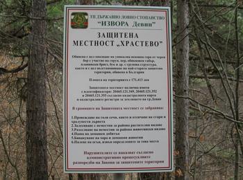 Интересна седмица на гората се проведе в Девин