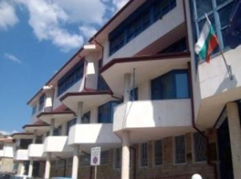 Журналисти представят резултати по проект за кафявата мечка