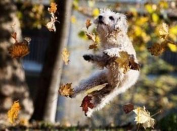 През деня топло до 17° , вечерта се очаква сняг