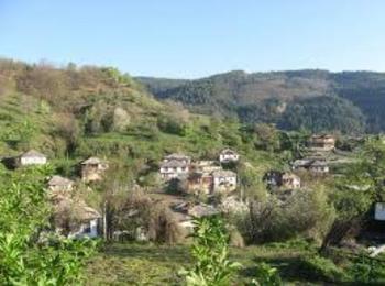  Отстраниха кмета на село Долен,заради бизнес