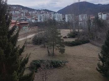 Близо 3 милиона лева са нанесените щети в гората от ураганния вятър