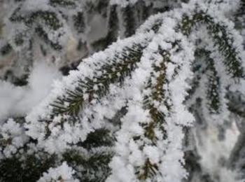 Сняг в събота, живакът пада с 20°