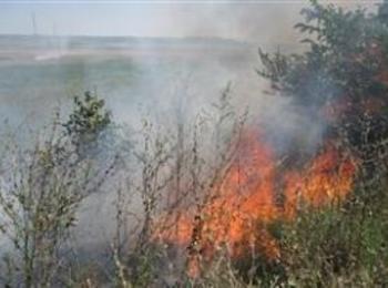 25 декара сухи треви и храсти горяха край Борино