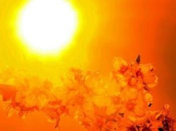 Слънце и до 30 градуса жега днес 