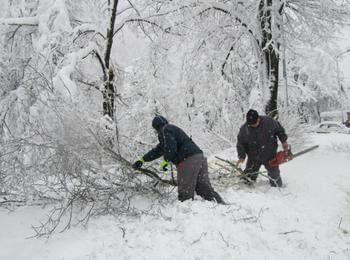 Община Смолян помага на ЕВН с дървосекачи, за да се осигури достъп до далекопроводите  