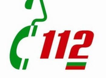 Змия влезе в двигател на автомобил