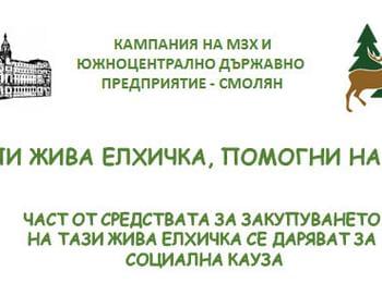 „Купи жива елхичка, помогни на дете“ 