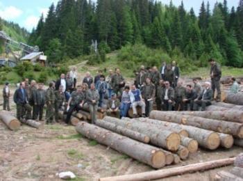 146 моторни превозни средства, натоварени с дървен материал, са проверени от горската стража