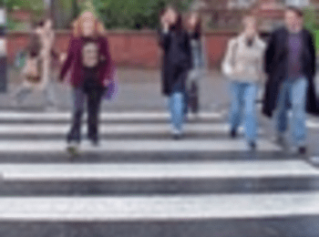От днес в област Смолян започва полицейска акция "Пешеходец"