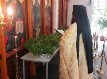 Архимандрит Висарион оглави светата Божествена Литургия на Цветница