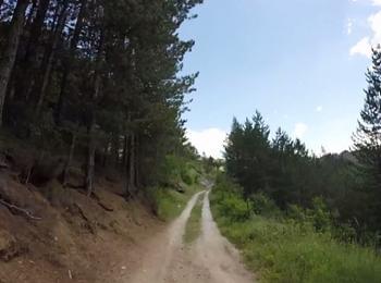 Гъбари засекли изчезналия Кристиян в гората край Триград