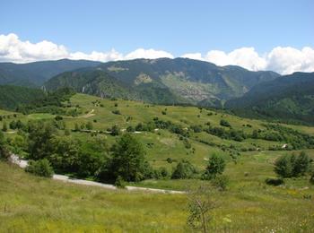 Залесяват 270 дка нови гори през тази година 