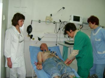 "Урбанизация и здраве" са основните акценти на Световния ден на здравето 2010г.