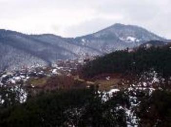Организират празник на Катраница