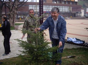 Общинари от Чепеларе засадиха дръвчета в центъра на града