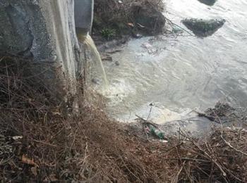 Първите анализи на водите на р. Върбица при Златоград са в норма