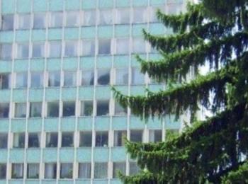 Скрити дългове провалят сделката за ”Горубсо”