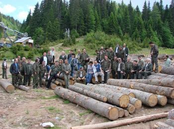 През 2010 г. са отсечени 450 529 куб.м. дървесина 